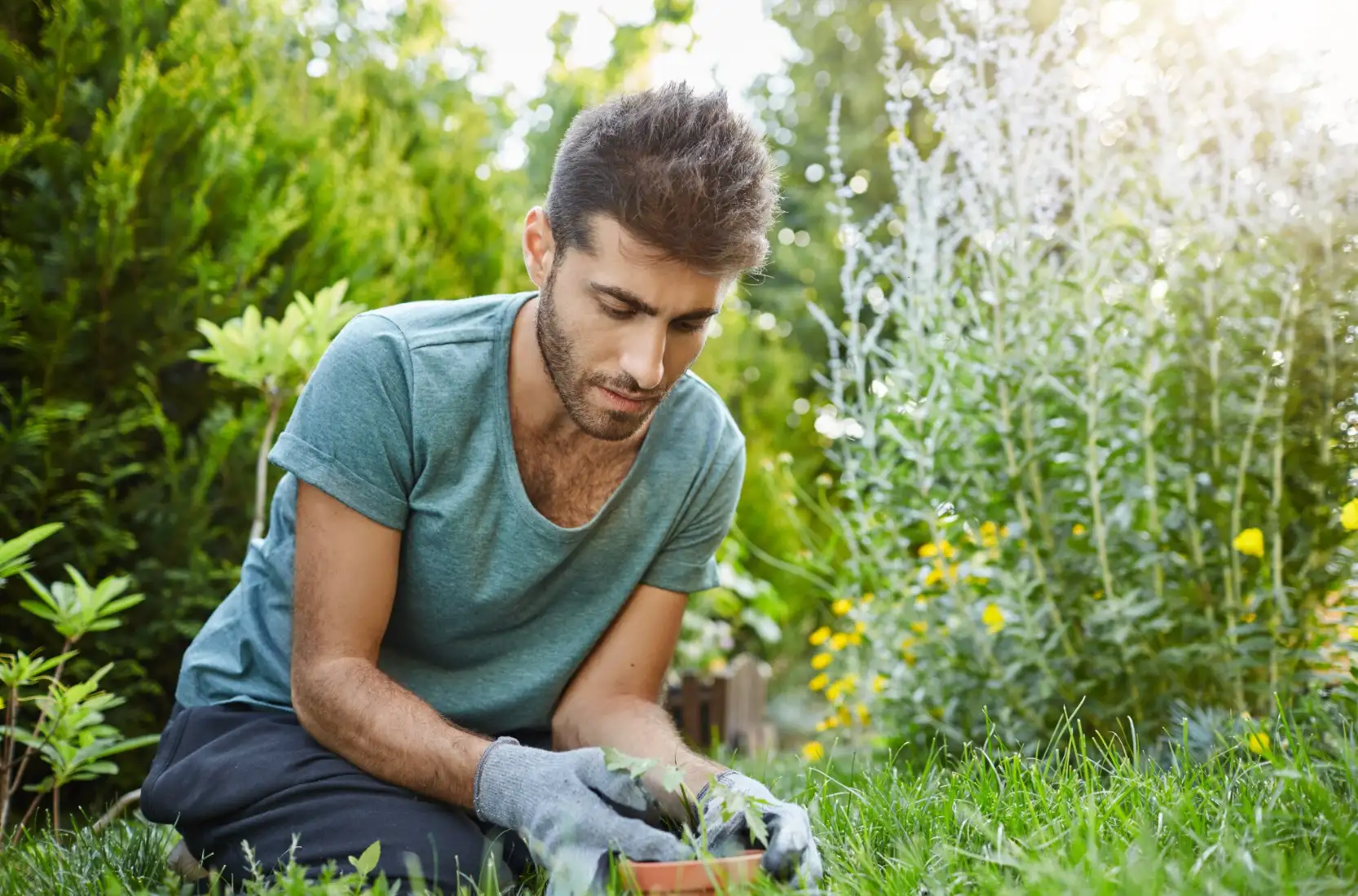 gardener certification courses